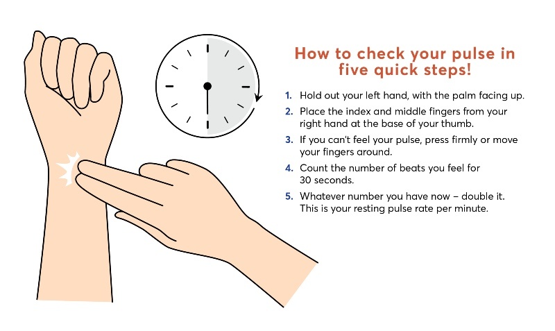 Stress Gut Blog INFOGRAPHIC1 PULSE