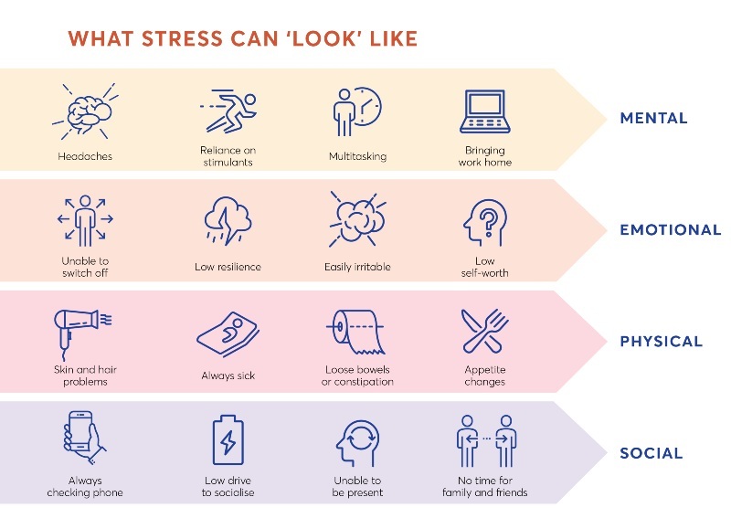 Stress Gut Blog INFOGRAPHIC2 STRESS